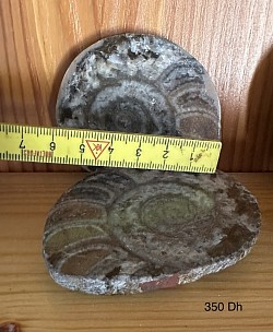 Fossil