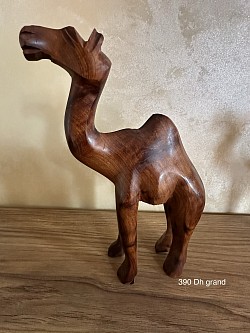 Dromadaire